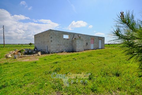Terra a Racale, Lecce, Racale - € 128.000 | Ref: RAIL-PA-128 - foto 27