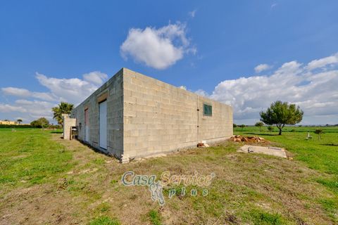 Terra a Racale, Lecce, Racale - € 128.000 | Ref: RAIL-PA-128 - foto 34
