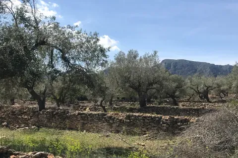 Finca i Rasquera, Tarragona, Rasquera - € 49.000 | Ref: Rar - foto 14