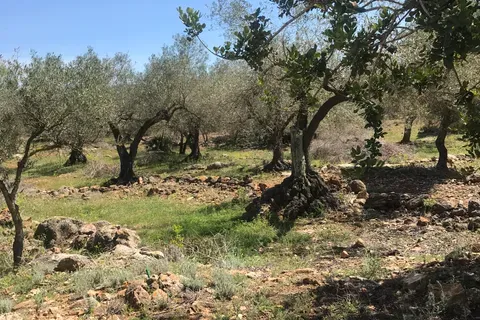 Finca i Rasquera, Tarragona, Rasquera - € 49.000 | Ref: Rar - foto 16