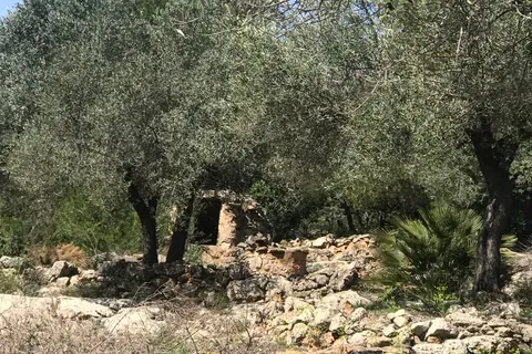 Finca i Rasquera, Tarragona, Rasquera - € 49.000 | Ref: Rar - foto 7