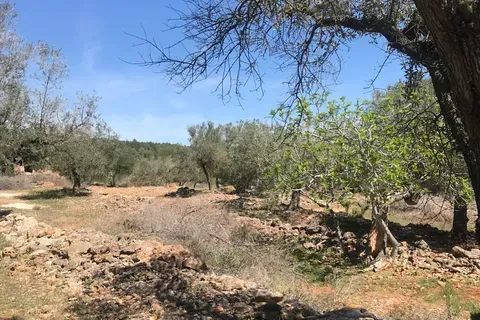 Finca i Rasquera, Tarragona, Rasquera - € 49.000 | Ref: Rar - foto 9