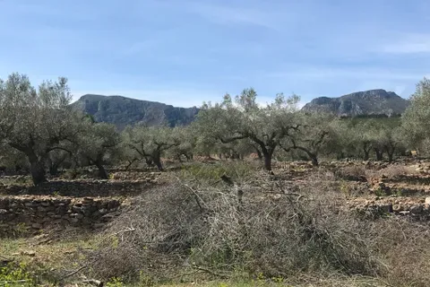 Finca i Rasquera, Tarragona, Rasquera - € 49.000 | Ref: Rar - foto 15