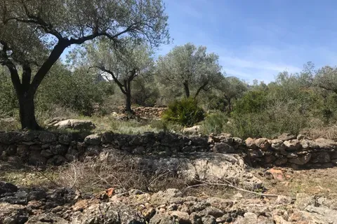 Finca i Rasquera, Tarragona, Rasquera - € 49.000 | Ref: Rar - foto 8