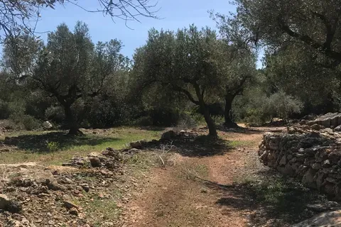 Finca i Rasquera, Tarragona, Rasquera - € 49.000 | Ref: Rar - foto 10