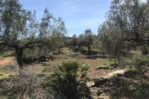Finca i Rasquera, Tarragona, Rasquera - € 49.000 | Ref: Rar - foto 24