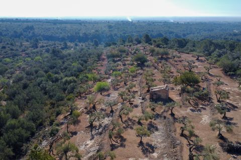 Landejendom i L'Aldea, Tarragona, L'Aldea - € 230.000 | Ref: 202 - foto 35
