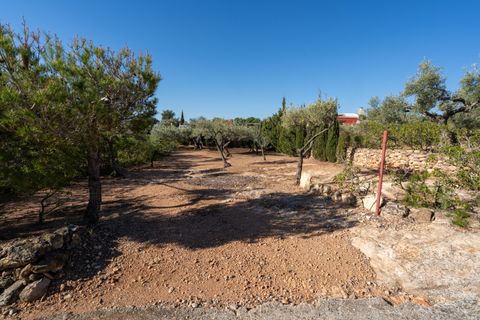 Landejendom i L'Aldea, Tarragona, L'Aldea - € 230.000 | Ref: 202 - foto 30