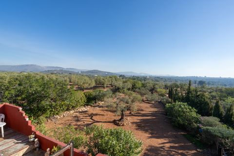 Landejendom i L'Aldea, Tarragona, L'Aldea - € 230.000 | Ref: 202 - foto 15