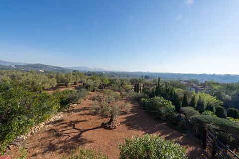 Landejendom i L'Aldea, Tarragona, L'Aldea - € 230.000 | Ref: 202 - foto 12