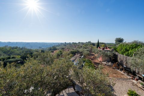 Landejendom i L'Aldea, Tarragona, L'Aldea - € 230.000 | Ref: 202 - foto 16