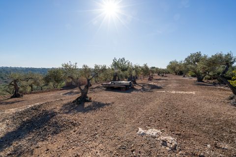 Landejendom i L'Aldea, Tarragona, L'Aldea - € 230.000 | Ref: 202 - foto 34