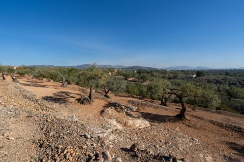 Landejendom i L'Aldea, Tarragona, L'Aldea - € 230.000 | Ref: 202 - foto 31