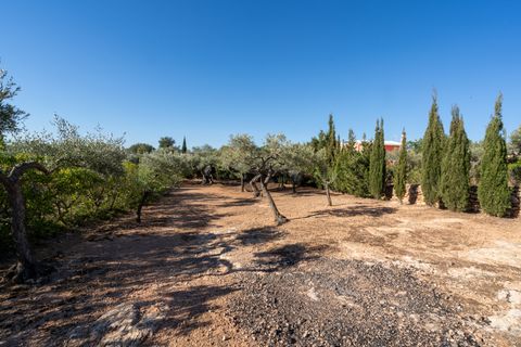 Landejendom i L'Aldea, Tarragona, L'Aldea - € 230.000 | Ref: 202 - foto 33