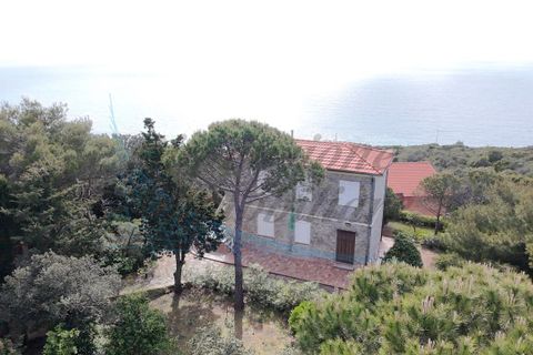 Villa a Rosignano Marittimo, Livorno, Rosignano Marittimo - € 790.000 | Ref: 1692 - foto 3
