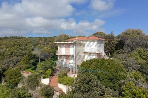 Villa a Rosignano Marittimo, Livorno, Rosignano Marittimo - € 790.000 | Ref: 1692 - foto 5