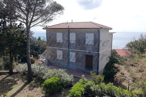 Villa a Rosignano Marittimo, Livorno, Rosignano Marittimo - € 790.000 | Ref: 1692 - foto 6