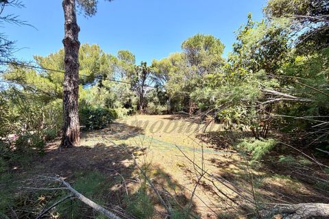 Villa a Rosignano Marittimo, Livorno, Rosignano Marittimo - € 790.000 | Ref: 1692 - foto 25