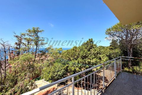 Villa a Rosignano Marittimo, Livorno, Rosignano Marittimo - € 790.000 | Ref: 1692 - foto 30