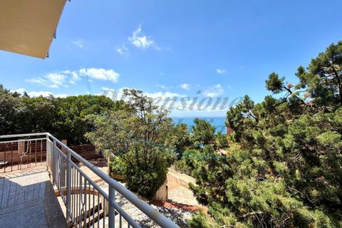 Villa a Rosignano Marittimo, Livorno, Rosignano Marittimo - € 790.000 | Ref: 1692 - foto 32