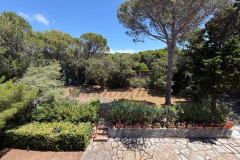 Villa a Rosignano Marittimo, Livorno, Rosignano Marittimo - € 790.000 | Ref: 1692 - foto 41
