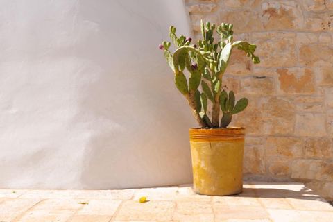 Villa i Ostuni, Brindisi, Ostuni - € 1.250.000 | Ref: 750 - foto 7