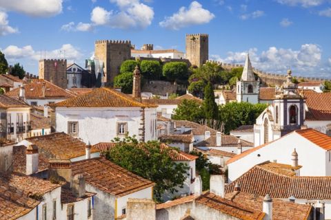 Helårsgrund i Obidos, Leiria, Obidos - € 6.500.000 | Ref: BL1070 - foto 11