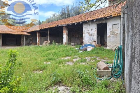 Villa i Gondemaria e Olival, Santarem, Gondemaria e Olival - € 165.000 | Ref: CAS_700 - foto 21