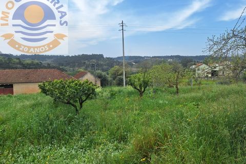 Villa i Gondemaria e Olival, Santarem, Gondemaria e Olival - € 165.000 | Ref: CAS_700 - foto 22