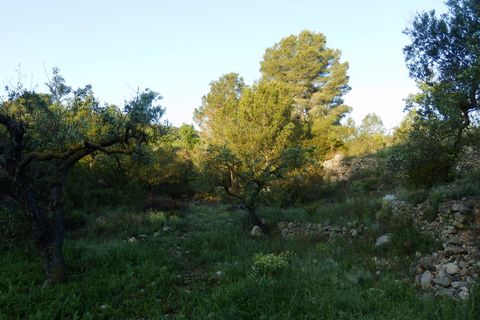 Finca i Miravet, Tarragona, Miravet - € 39.000 | Ref: Mir06rob - foto 9