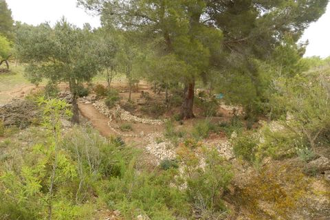 Finca i Miravet, Tarragona, Miravet - € 39.000 | Ref: Mir06rob - foto 14