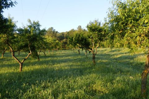 Finca i Miravet, Tarragona, Miravet - € 39.000 | Ref: Mir06rob - foto 13