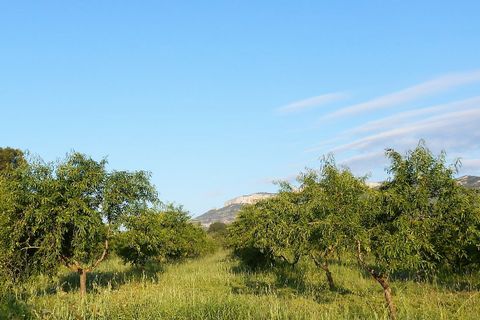 Finca i Miravet, Tarragona, Miravet - € 39.000 | Ref: Mir06rob - foto 12