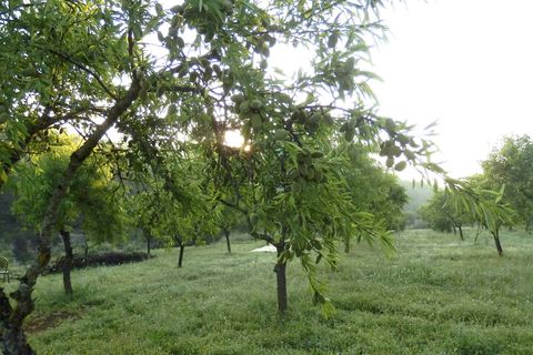 Finca i Miravet, Tarragona, Miravet - € 39.000 | Ref: Mir06rob - foto 10