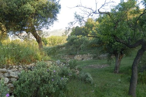 Finca i Miravet, Tarragona, Miravet - € 39.000 | Ref: Mir06rob - foto 6