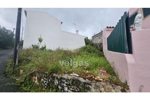 Helårsgrund i Cadaval, Lisbon, Cadaval - € 17.500 | Ref: CAL-215871 - foto 1