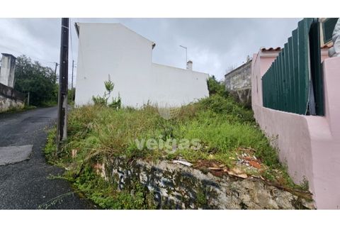 Helårsgrund i Cadaval, Lisbon, Cadaval - € 17.500 | Ref: CAL-215871 - foto 2