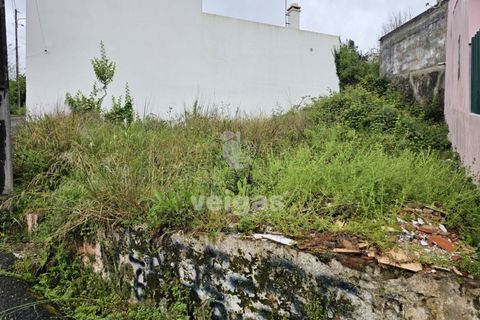 Helårsgrund i Cadaval, Lisbon, Cadaval - € 17.500 | Ref: CAL-215871 - foto 3