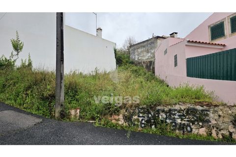 Helårsgrund i Cadaval, Lisbon, Cadaval - € 17.500 | Ref: CAL-215871 - foto 4
