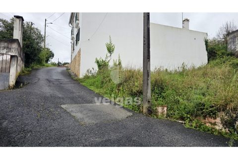 Helårsgrund i Cadaval, Lisbon, Cadaval - € 17.500 | Ref: CAL-215871 - foto 5