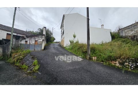 Helårsgrund i Cadaval, Lisbon, Cadaval - € 17.500 | Ref: CAL-215871 - foto 6