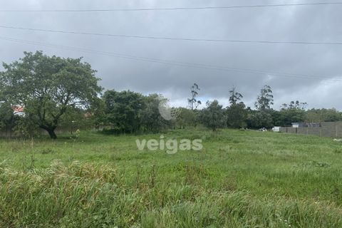 Terra a Turquel, Leiria, Turquel - € 25.000 | Ref: CAL-215860 - foto 3