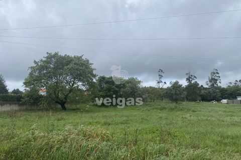 Terra a Turquel, Leiria, Turquel - € 25.000 | Ref: CAL-215860 - foto 4