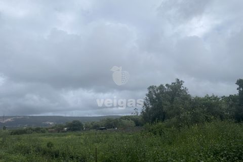Terra a Turquel, Leiria, Turquel - € 25.000 | Ref: CAL-215860 - foto 5