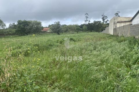 Terra a Turquel, Leiria, Turquel - € 25.000 | Ref: CAL-215860 - foto 6