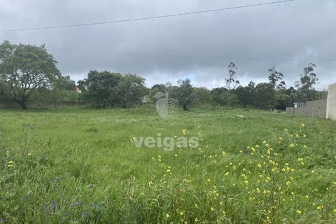 Terra a Turquel, Leiria, Turquel - € 25.000 | Ref: CAL-215860 - foto 7