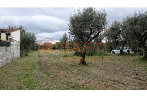 Farm i Nelas, Viseu, Nelas - € 75.000 | Ref: SAFTI:004945 - foto 2