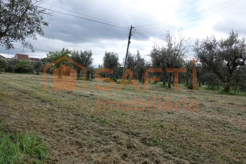 Farm i Nelas, Viseu, Nelas - € 75.000 | Ref: SAFTI:004945 - foto 3