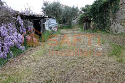 Farm i Nelas, Viseu, Nelas - € 75.000 | Ref: SAFTI:004945 - foto 4