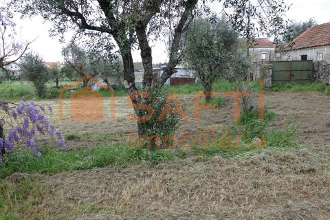 Farm i Nelas, Viseu, Nelas - € 75.000 | Ref: SAFTI:004945 - foto 5